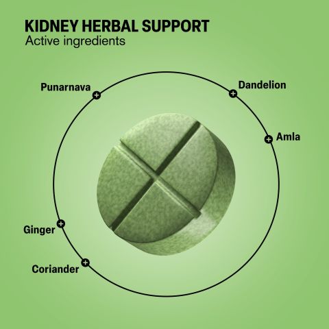 500mg - Kidney Herbal Support - Mood Tablets - Thumbnail 5