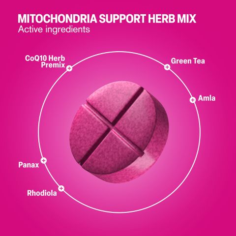 500mg - Mitochondria Support Herb Mix - Mood Tablets - Thumbnail 5