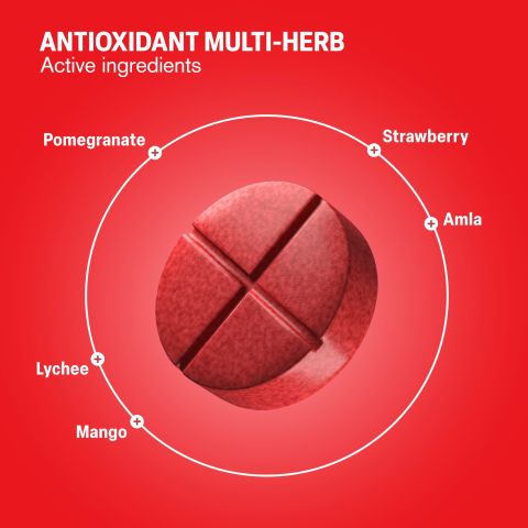 500mg - Antioxidant Multi-Herb - Fruit Punch - Mood Tablets - Thumbnail 5