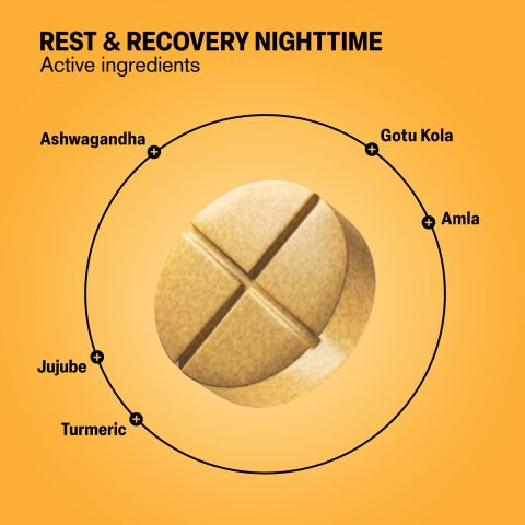 500mg - Rest & Recovery Nighttime - Mood Tablets - Thumbnail 5