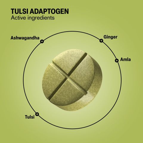 500mg - Tulsi Immune Adaptogen - Mood Tablets - Thumbnail 5