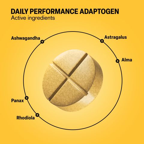 500mg - Daily Performance Adaptogen - Mood Tablets - Thumbnail 5